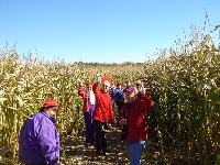 Art field : sailing boat (Art) - similarity