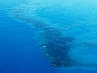 Discharge (Pollution) - similarity