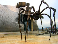 Giant spider in Spain (Giant) - similarity
