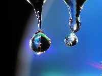 Giant drop (Giant) - similarity