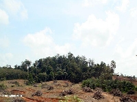 Deforestation in Malaisia 3 (Pollution) - similarity