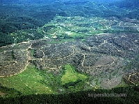 Deforestation in Malaisia 7 (Pollution) - similarity