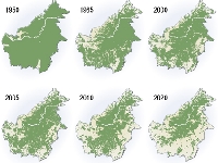 Deforestation in Malaisia 8 (Pollution) - similarity