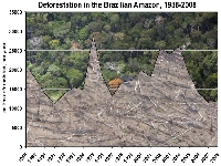 Deforestation in Brasil (Pollution) - similarity