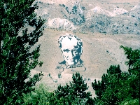 Turkey Face (Art) - similarity