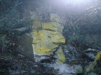 Rock face (Look Like) - similarity