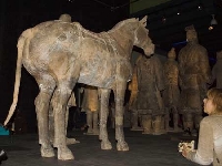 Anciant horse (Sign) - similarity