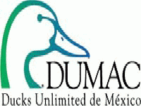 Dumac (Message) - similarity