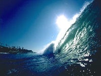 Wave (Look Like) - similarity