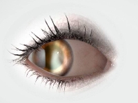Eye (Look Like) - similarity