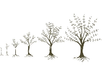 Growing trees (Look Like) - similarity