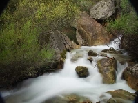 New river (Landscape) - similarity