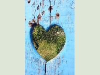 Heart colored (Look Like) - similarity