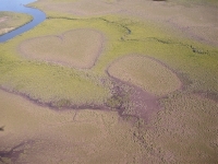 Heart little pool (Look Like) - similarity