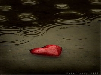 Heart pool (Look Like) - similarity