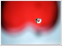 Lovers in sand (Look Like) - similarity