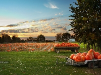 Art field : Halloween (Art) - similarity