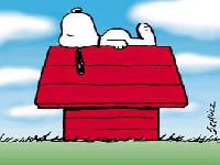 Snoopy (Star) - similarity