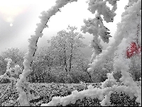 Frozen land (Landscape) - similarity