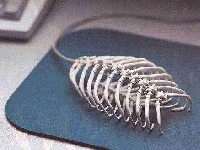 Mouse race (Art) - similarity