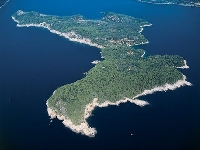 Butterfly island (Landscape) - similarity