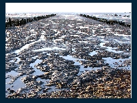 River in sea (Landscape) - similarity