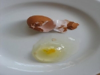 Egg (Landscape) - similarity