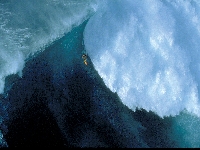 Surf in France (Event) - similarity