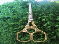 Natural forrest ? (Human made) - similarity