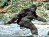 Big foot (Record) - similarity
