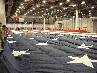 Flag (Giant) - similarity