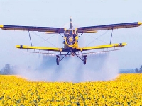 Pollution or plant feeding ? (Pollution) - similarity