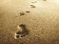 Sandbar (Landscape) - similarity