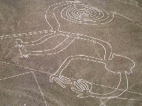 Animal geopglyph (Human made) - similarity