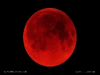 Blood earth (Landscape) - similarity