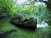 Welcome to the mud (Before / after) - similarity