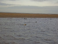 UFO remain (UFO) - similarity