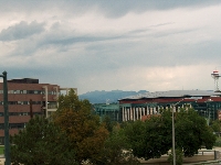 Pepsi palace (Construction) - similarity