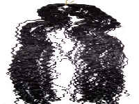 Hair fields (Art) - similarity