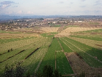 Start field : Montady pond (Star) - similarity