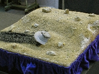 UFO crash (UFO) - similarity