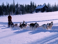 Polar expedition (Event) - similarity