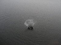 Long waves (Landscape) - similarity