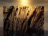 Bitumen (Construction) - similarity