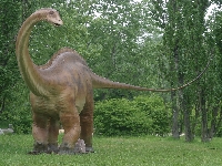 Dinosaur (Animals) - similarity