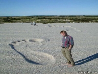 Giant foot print (Giant) - similarity