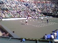 Sun protect (Event) - similarity