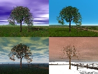 3 seasons (Before / after) - similarity