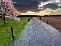 Summer winter (Before / after) - similarity