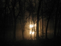 UFO landing (UFO) - similarity